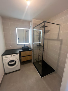 Photo de galerie - Salle de bain après rénovation 