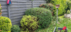 Photo de galerie - Paysagiste - Aménagement du jardin