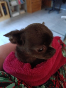 Photo de galerie - Petite garde de Izzy