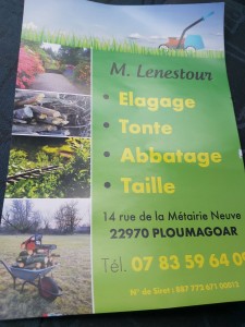 Photo de galerie - Elagage et coupe d'arbres