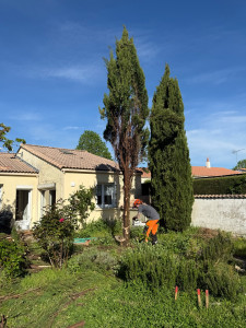 Photo de galerie - Abattage directionnel à proximité d’une propriété 