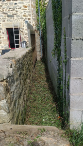 Photo de galerie - Tonte de pelouse - Débroussaillage