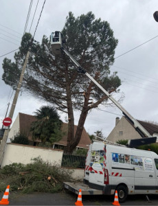 Photo de galerie - Bonjour, je suis paysagiste-jardinier, spécialisé dans l'élagage, l'abattage d'arbres, la taille de haies, le débroussaillage et l'entretien des jardins. 