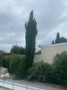 Photo de galerie - Avant 