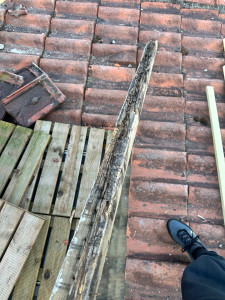 Photo de galerie - Couverture - Toiture