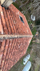 Photo de galerie - Toilettage