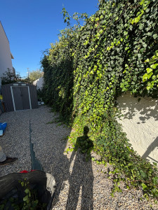 Photo de galerie - Avant 