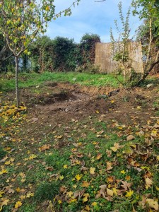 Photo de galerie - Aménagement de jardin et création de jardin zen