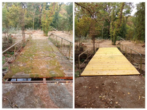 Photo de galerie - Paysagiste - Aménagement du jardin