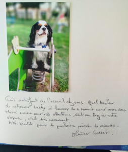 Photo de galerie - Garde chien