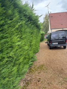 Photo de galerie - Photo avant taille