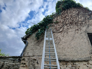 Photo de galerie - Jardinier