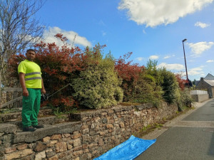 Photo de galerie - Taille de haies et d'arbustes