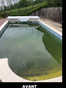 Photo de galerie - Entretien piscine