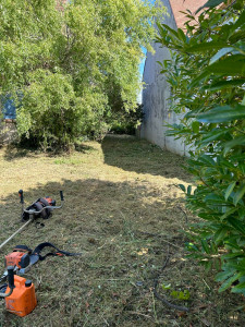 Photo de galerie - Débroussaillage et remise en état