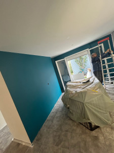 Photo de galerie - Rénovation  toute la peinture