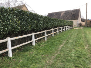 Photo de galerie - Elagage et coupe d'arbres