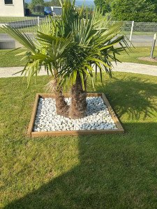 Photo de galerie - Paysagiste - Aménagement du jardin