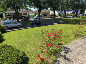 Photo de galerie - Tonte de pelouse - Débroussaillage