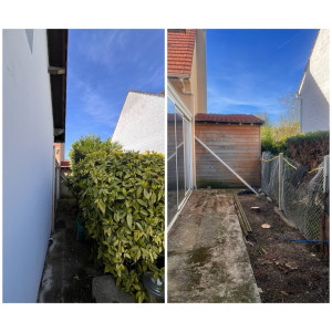 Photo de galerie - Abattage arbuste