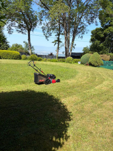 Photo de galerie - Nettoyage de jardin 