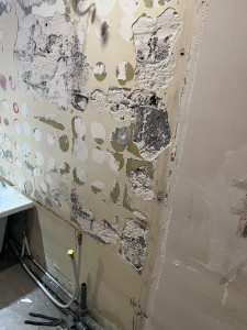 Photo de galerie - AVANT - salle de bain
