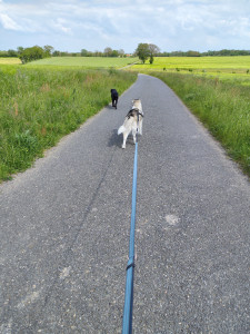 Photo de galerie - La jolie campagne 