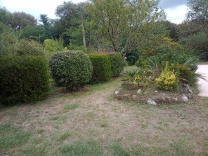 Photo de galerie - Taille de haie