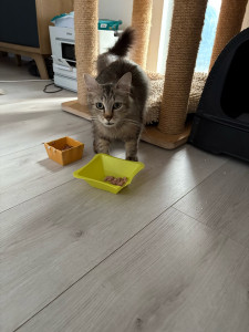 Photo de galerie - étoile est une vraie gourmande 