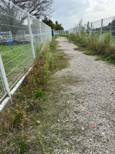 Photo de galerie - Tonte de pelouse - Débroussaillage