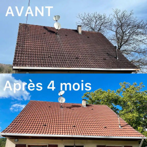 Photo de galerie - Nettoyage toiture 