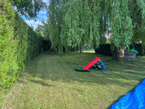 Photo de galerie - Tonte de pelouse - Débroussaillage