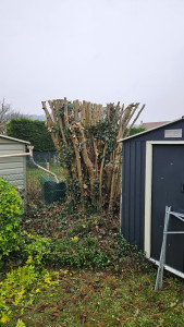 Photo de galerie - Paysagiste - Aménagement du jardin