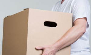 Photo de galerie - De l'expérience dans l'aide à l'organisation 
et déplacement de divers objets et sur dans divers endroits , je saurai être efficace dans ma tâche 