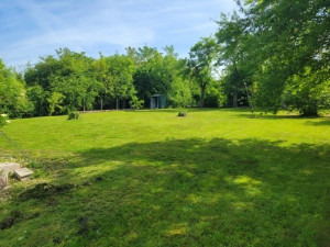 Photo de galerie - Merveilleux jardin