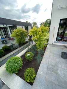 Photo de galerie - Création d’un massif « moderne » 