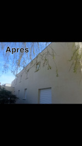 Photo de galerie - Après traitement