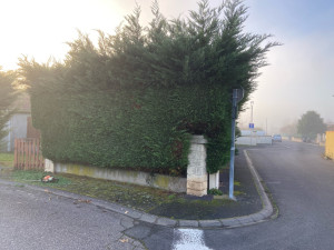 Photo de galerie - Taille de haies 