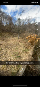 Photo de galerie - Je me suis occupé plusieurs fois du jardin 