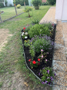 Photo de galerie - Paysagiste - Aménagement du jardin