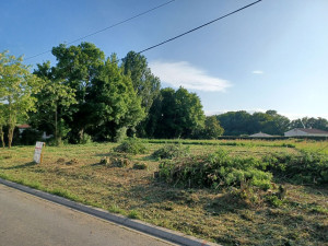 Photo de galerie - Tonte de pelouse - Débroussaillage