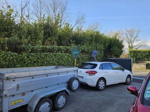 Photo de galerie - Rabattage d'une haie / avant 