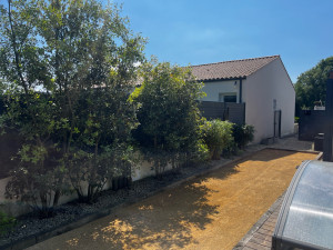 Photo de galerie - Remise au propre (terrain de pétanque) + taille