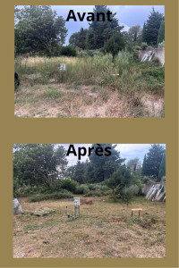 Photo de galerie - Tonte de pelouse - Débroussaillage