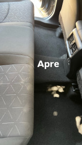 Photo de galerie - Lavage auto