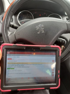 Photo de galerie - Regeneration fap