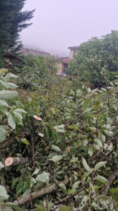 Photo de galerie - ça c'était au début et je vous mets aussi une photo double à la fin