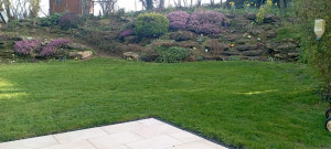 Photo de galerie - Plantation fleurs et nettoyage parterre 