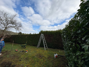 Photo de galerie - Paysagiste - Aménagement du jardin