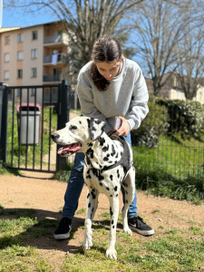 Photo de galerie - Mambo et moi